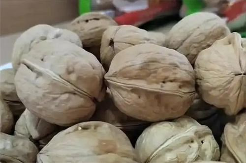 图片细节